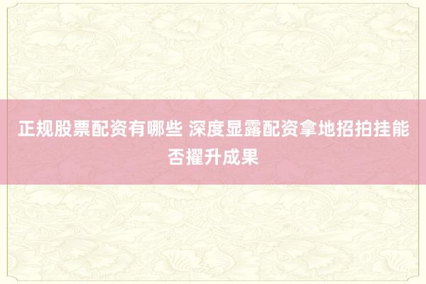 正规股票配资有哪些 深度显露配资拿地招拍挂能否擢升成果