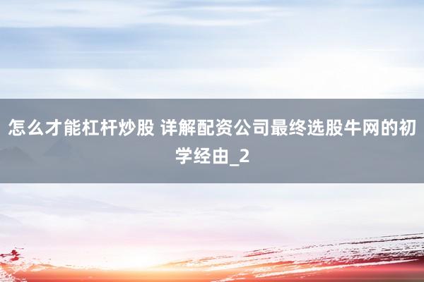 怎么才能杠杆炒股 详解配资公司最终选股牛网的初学经由_2