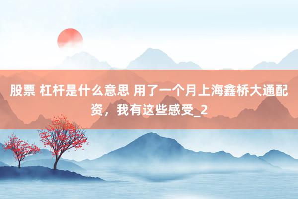 股票 杠杆是什么意思 用了一个月上海鑫桥大通配资，我有这些感受_2