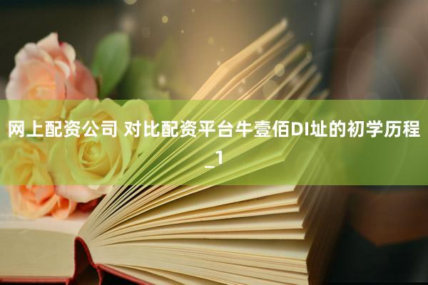 网上配资公司 对比配资平台牛壹佰DI址的初学历程_1