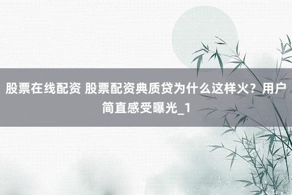股票在线配资 股票配资典质贷为什么这样火？用户简直感受曝光_1