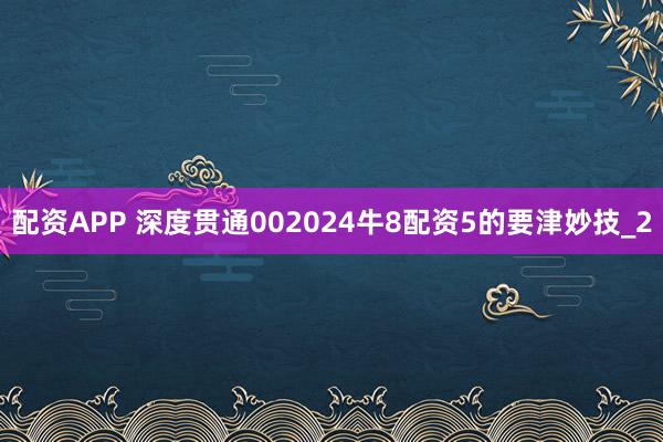 配资APP 深度贯通002024牛8配资5的要津妙技_2