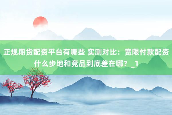正规期货配资平台有哪些 实测对比：宽限付款配资什么步地和竞品到底差在哪？_1