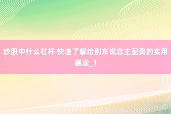炒股中什么杠杆 快速了解给别东说念主配资的实用暴虐_1