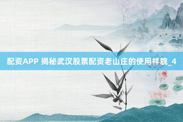 配资APP 揭秘武汉股票配资老山庄的使用样貌_4