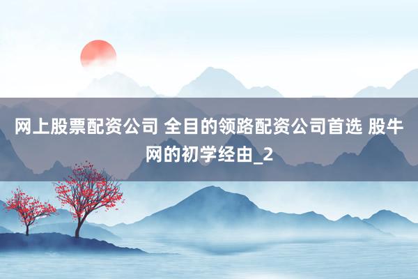 网上股票配资公司 全目的领路配资公司首选 股牛网的初学经由_2