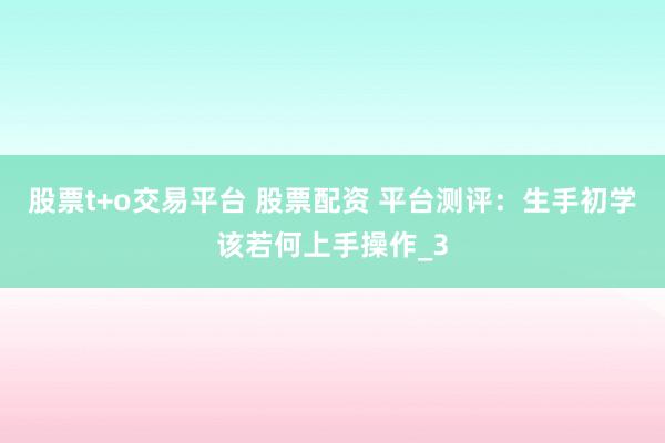 股票t+o交易平台 股票配资 平台测评：生手初学该若何上手操作_3