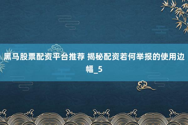 黑马股票配资平台推荐 揭秘配资若何举报的使用边幅_5