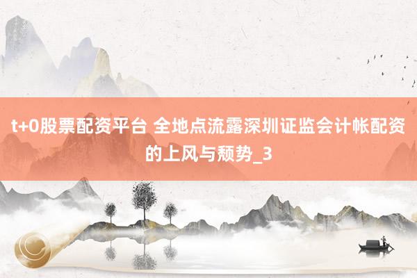 t+0股票配资平台 全地点流露深圳证监会计帐配资的上风与颓势_3