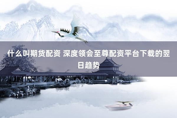什么叫期货配资 深度领会至尊配资平台下载的翌日趋势