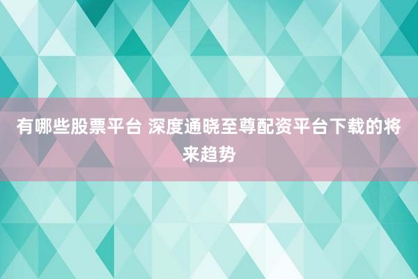 有哪些股票平台 深度通晓至尊配资平台下载的将来趋势