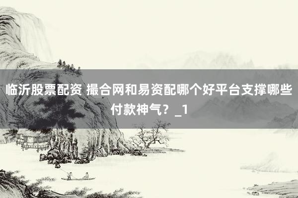 临沂股票配资 撮合网和易资配哪个好平台支撑哪些付款神气？_1