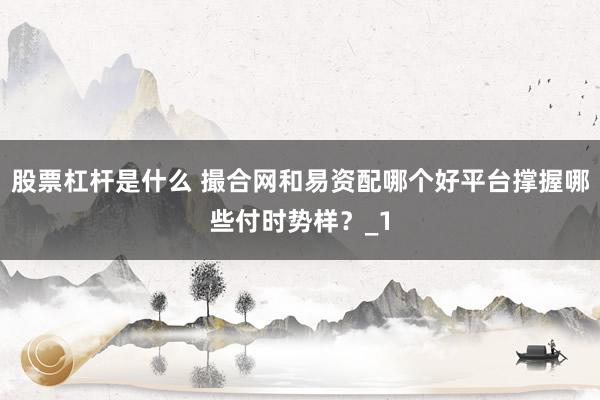 股票杠杆是什么 撮合网和易资配哪个好平台撑握哪些付时势样？_1