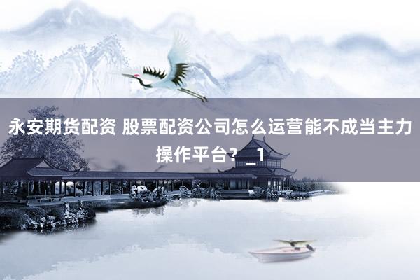 永安期货配资 股票配资公司怎么运营能不成当主力操作平台?_1