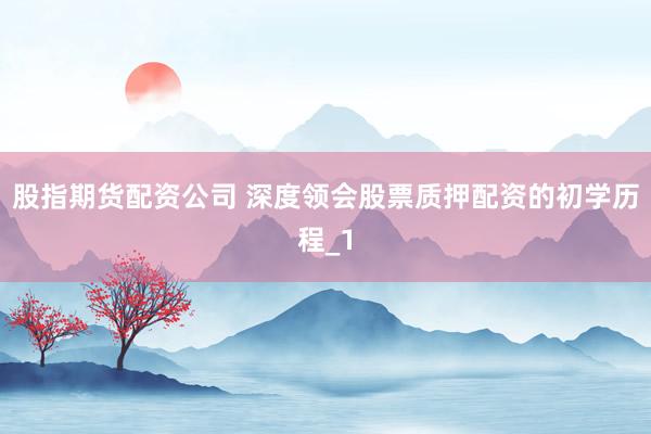 股指期货配资公司 深度领会股票质押配资的初学历程_1