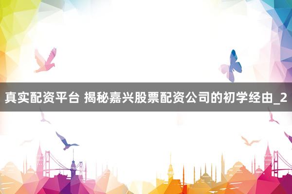 真实配资平台 揭秘嘉兴股票配资公司的初学经由_2