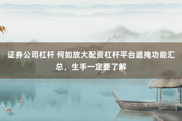 证券公司杠杆 何如放大配资杠杆平台遮掩功能汇总，生手一定要了解