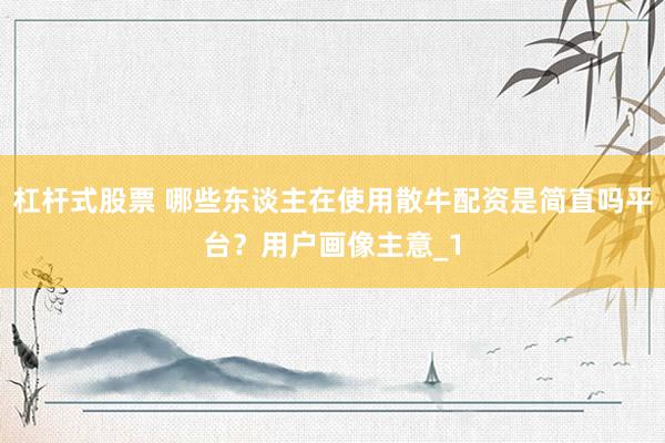 杠杆式股票 哪些东谈主在使用散牛配资是简直吗平台？用户画像主意_1