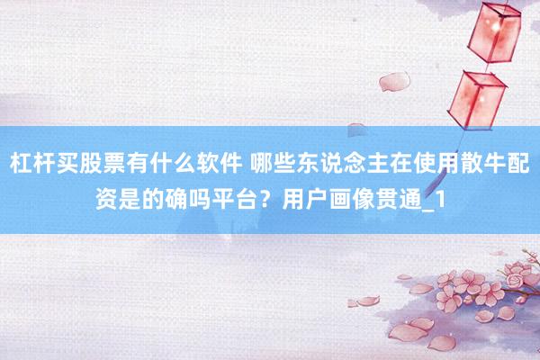 杠杆买股票有什么软件 哪些东说念主在使用散牛配资是的确吗平台？用户画像贯通_1