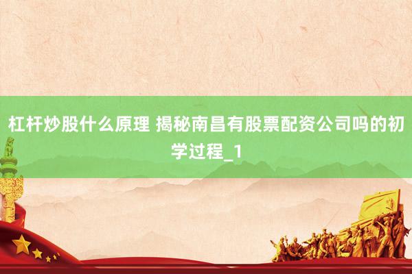 杠杆炒股什么原理 揭秘南昌有股票配资公司吗的初学过程_1