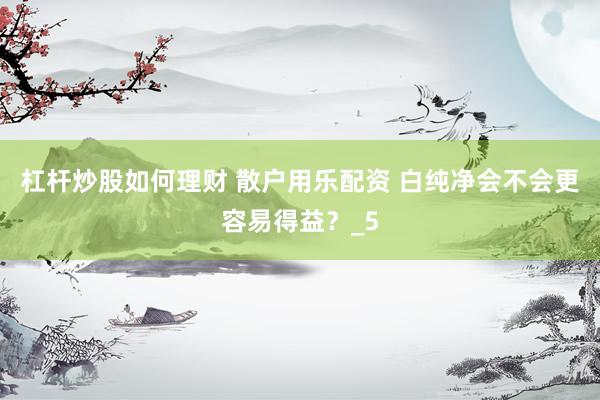 杠杆炒股如何理财 散户用乐配资 白纯净会不会更容易得益？_5