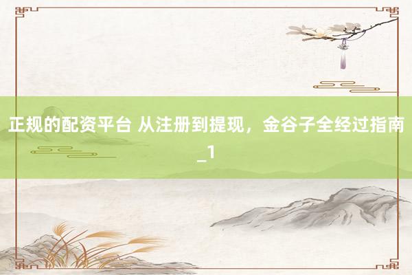 正规的配资平台 从注册到提现，金谷子全经过指南_1