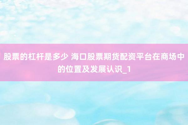 股票的杠杆是多少 海口股票期货配资平台在商场中的位置及发展认识_1