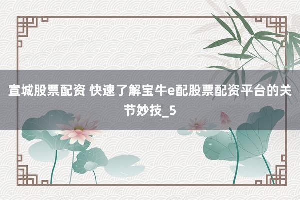 宣城股票配资 快速了解宝牛e配股票配资平台的关节妙技_5