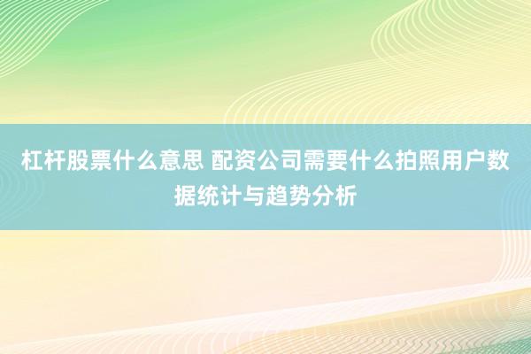 杠杆股票什么意思 配资公司需要什么拍照用户数据统计与趋势分析
