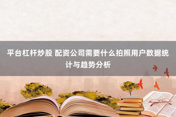 平台杠杆炒股 配资公司需要什么拍照用户数据统计与趋势分析