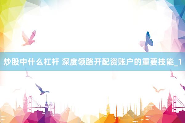 炒股中什么杠杆 深度领路开配资账户的重要技能_1