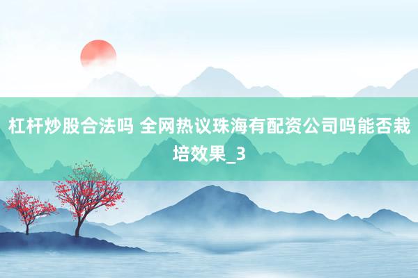 杠杆炒股合法吗 全网热议珠海有配资公司吗能否栽培效果_3