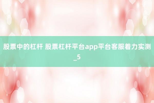 股票中的杠杆 股票杠杆平台app平台客服着力实测_5