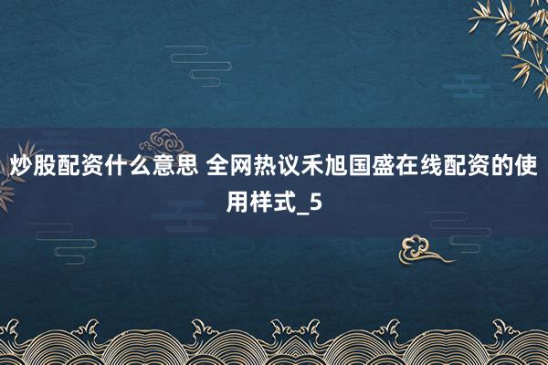 炒股配资什么意思 全网热议禾旭国盛在线配资的使用样式_5